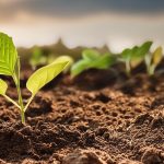 Regenerative Agriculture Innovations & Startups Report